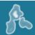 VOSviewer